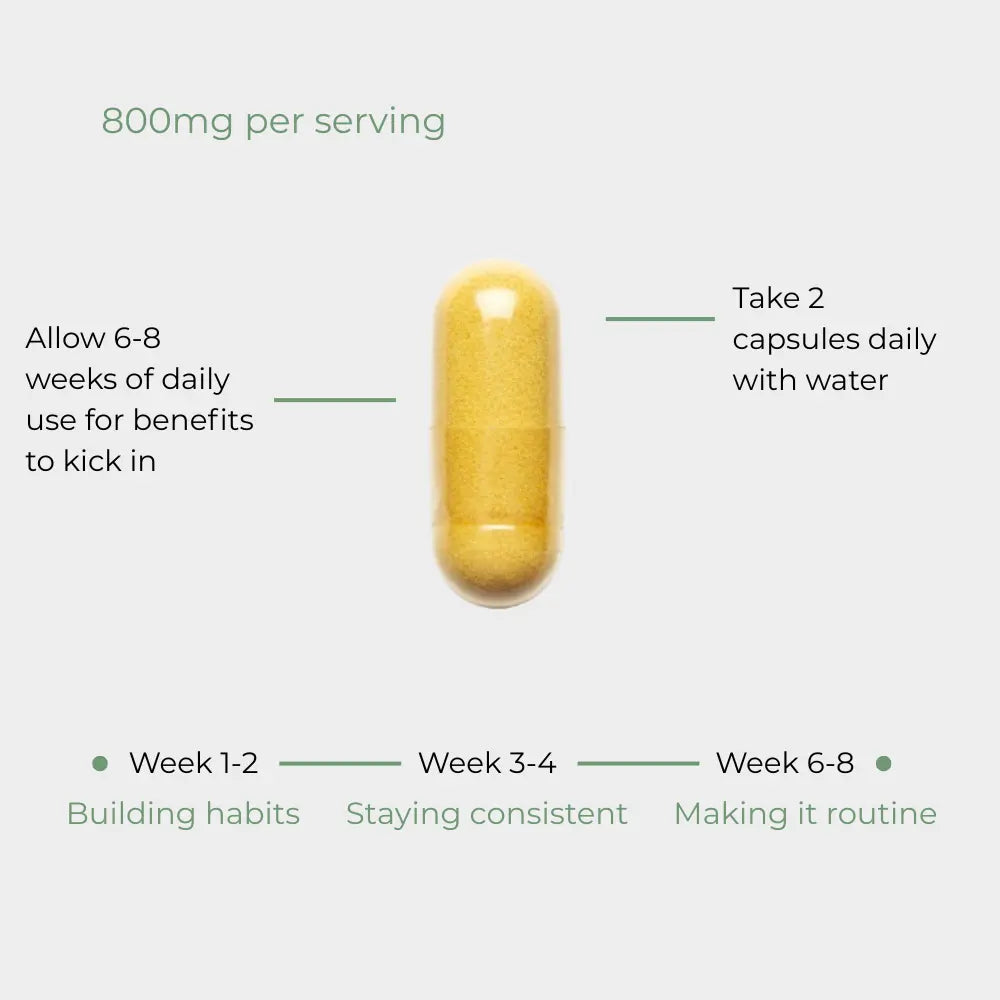 Nythea Berberine 800mg - Metabolic Support Capsules